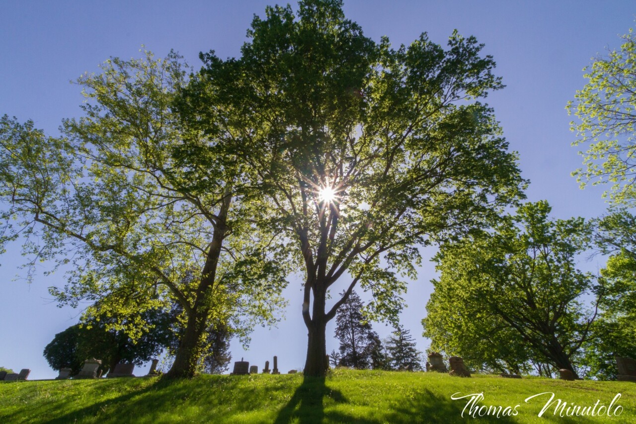 Donnelsville Cemetery